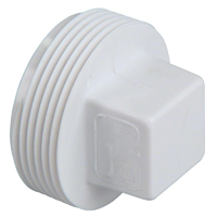 DWV PVC Plugs