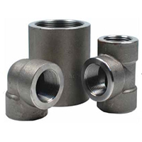 Forged Steel Threaded