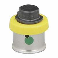 Poly PEX Test Plugs