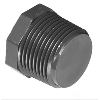 PVC Sch 80 Plugs