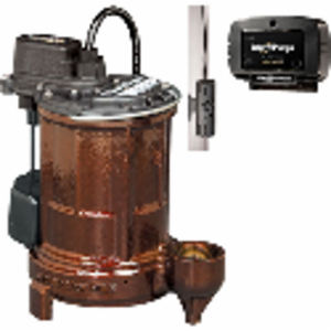 Liberty Pumps&reg; CGI_447313