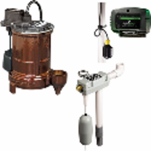 Liberty Pumps&reg; CGI_447391