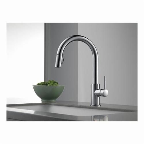 DELTA&reg; 9159-DST Trinsic&reg; Kitchen Faucet