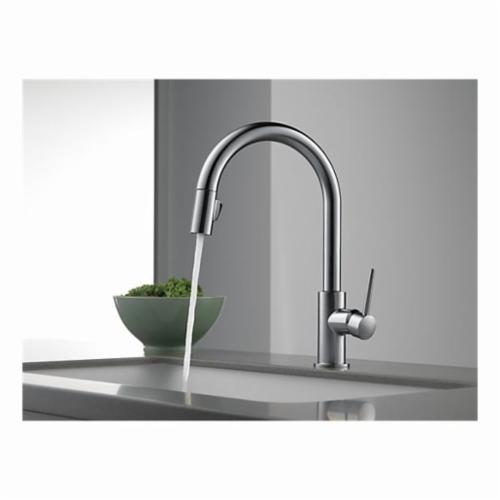 DELTA&reg; 9159-DST Trinsic&reg; Kitchen Faucet