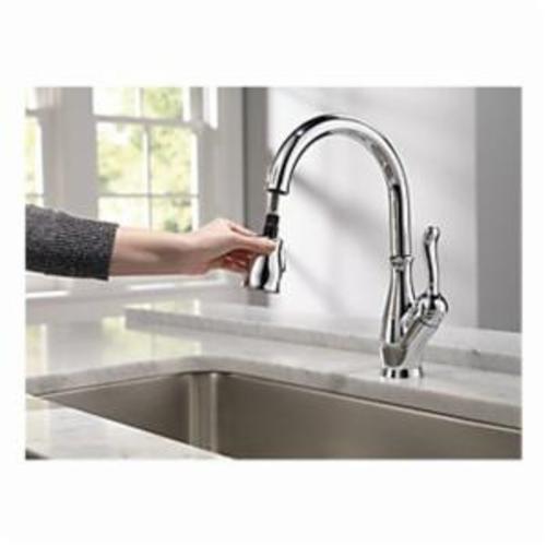 DELTA&reg; 9178-DST Leland&reg; Kitchen Faucet