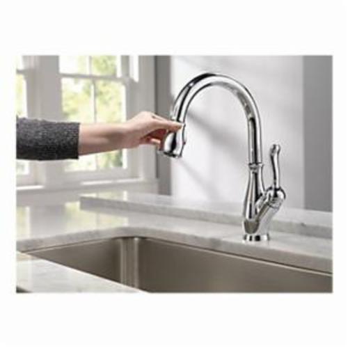 DELTA&reg; 9178-DST Leland&reg; Kitchen Faucet