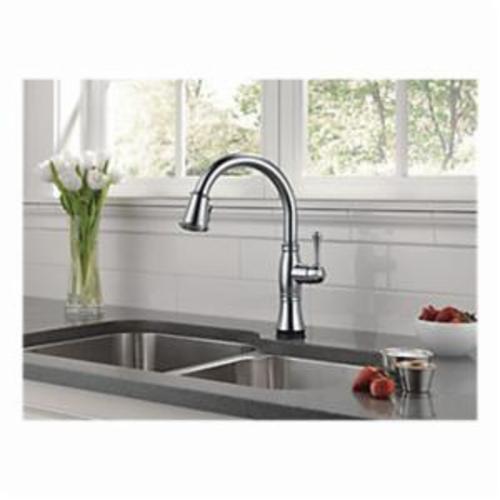 DELTA&reg; 9197T-DST Cassidy&trade; Kitchen Faucet