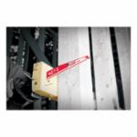 Diablo&reg; DS0606CWS3