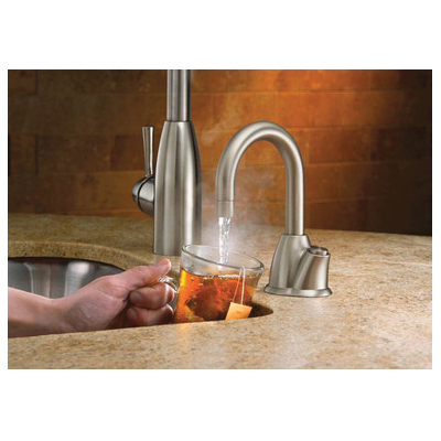 Insinkerator&reg; 44887