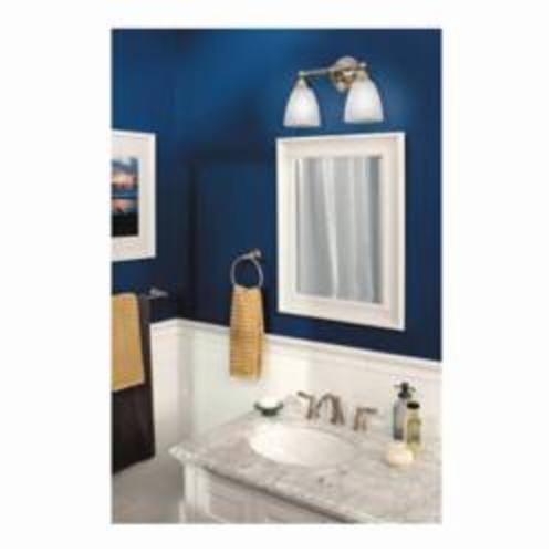 Moen&reg; T6620BN
