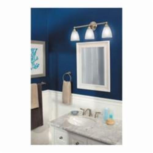 Moen&reg; T6620BN