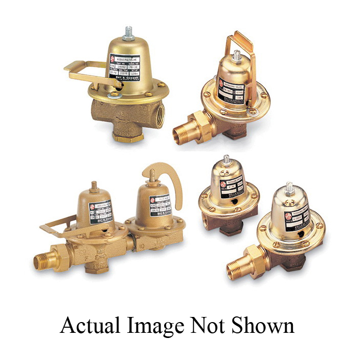 Bell & Gossett 110193LF 105020