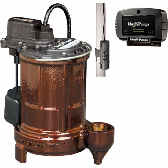 Liberty Pumps&reg; CGI_447313